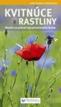 kvitnuce-rastliny